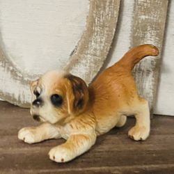 Adorable RETIRED Saint Bernard 