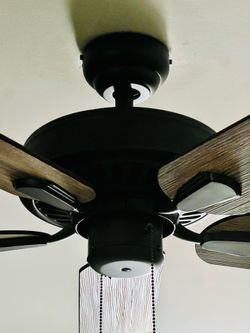 Ceiling Fan