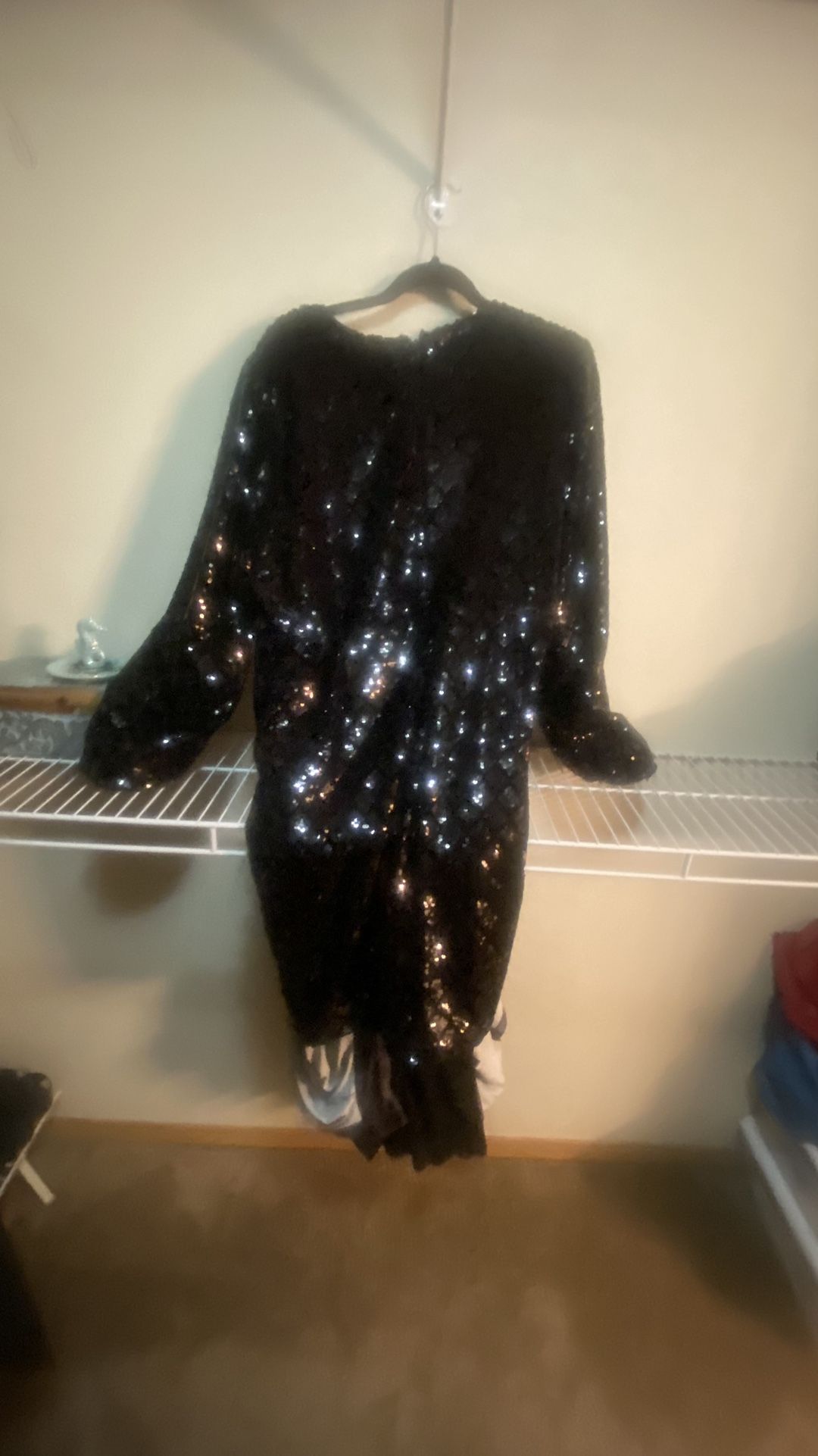 Dress Velour Sequin Dress Never Worn 