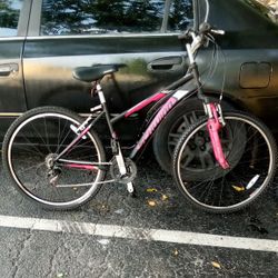 Schwinn Link Mountain Bike