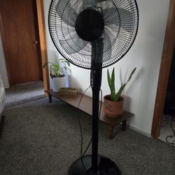 Mainstays 18" Oscillating Pedestal Fan – Fixed Height 54". Almost like new and works great. 