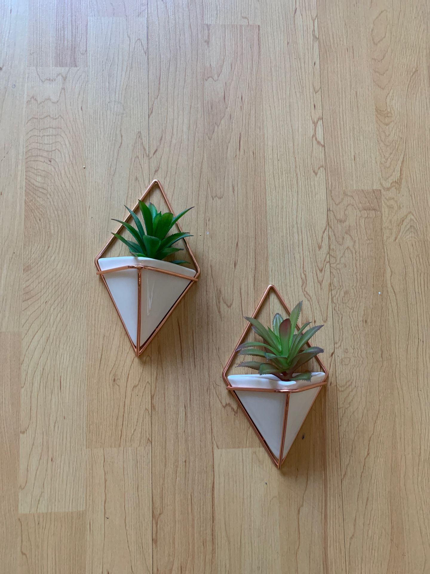 Wall plant holders