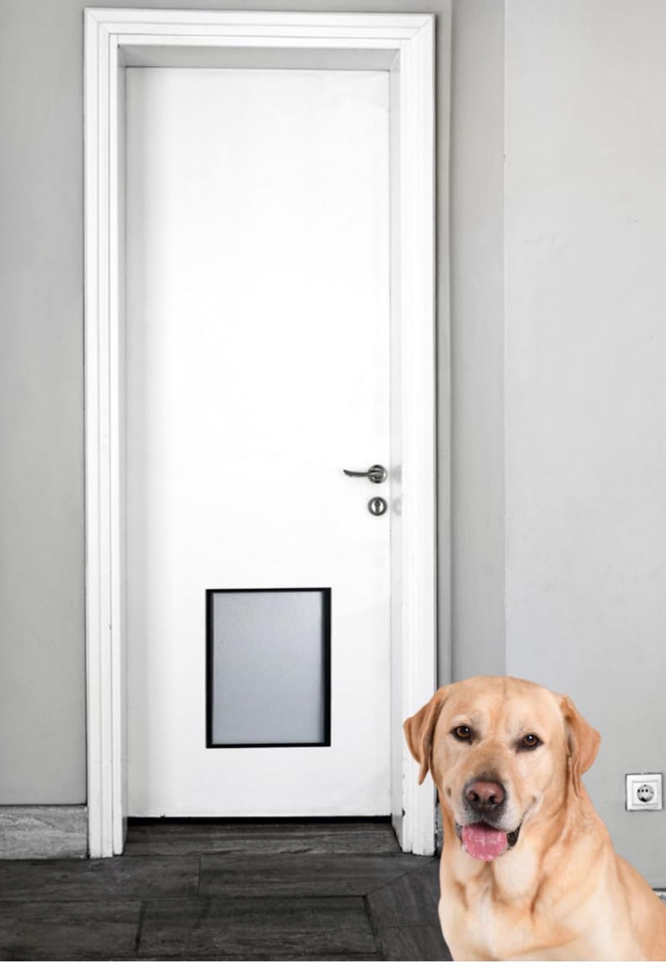 Pre Installed pet Door White Door Interior Door Dog Door
