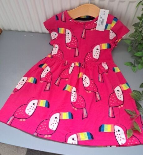 Baby Girl 12-18 Months BNWT Bluezoo Supersoft Dress