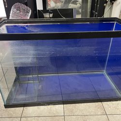 30 Gallon Tank 