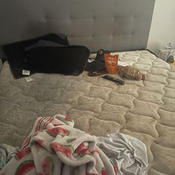 FREE KING BED 
