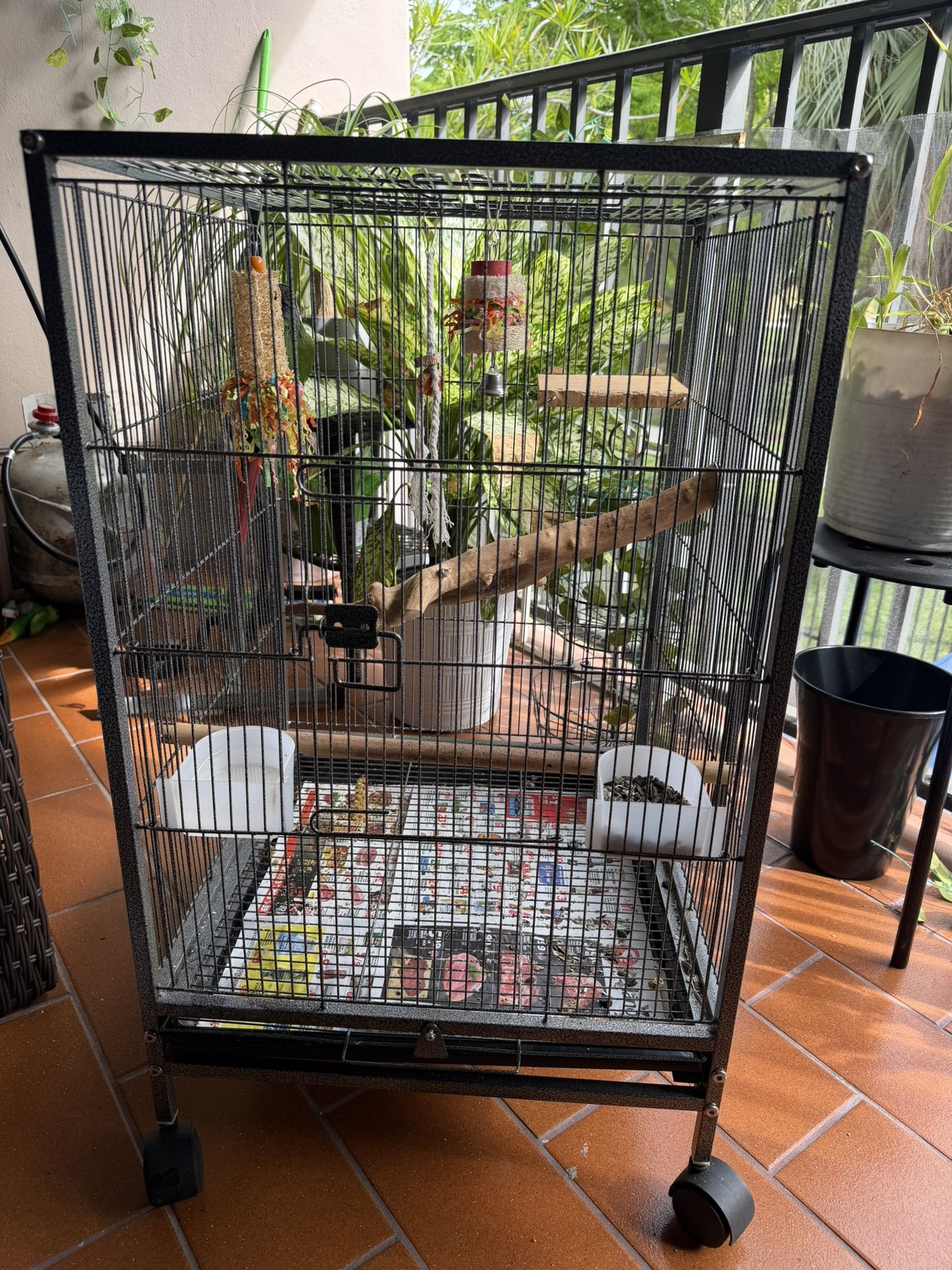 Bird Cage /jaula De Pajaros