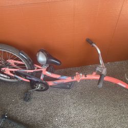 Co Pilot Bike