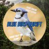 Blue Bird Online Thrift Store
