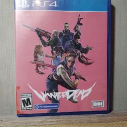 PS4 Wanted 