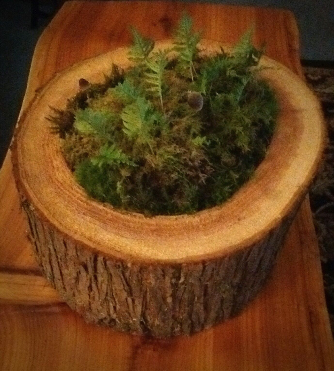 Log Centerpiece / Accent Decor