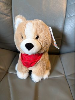 Valentines Dog