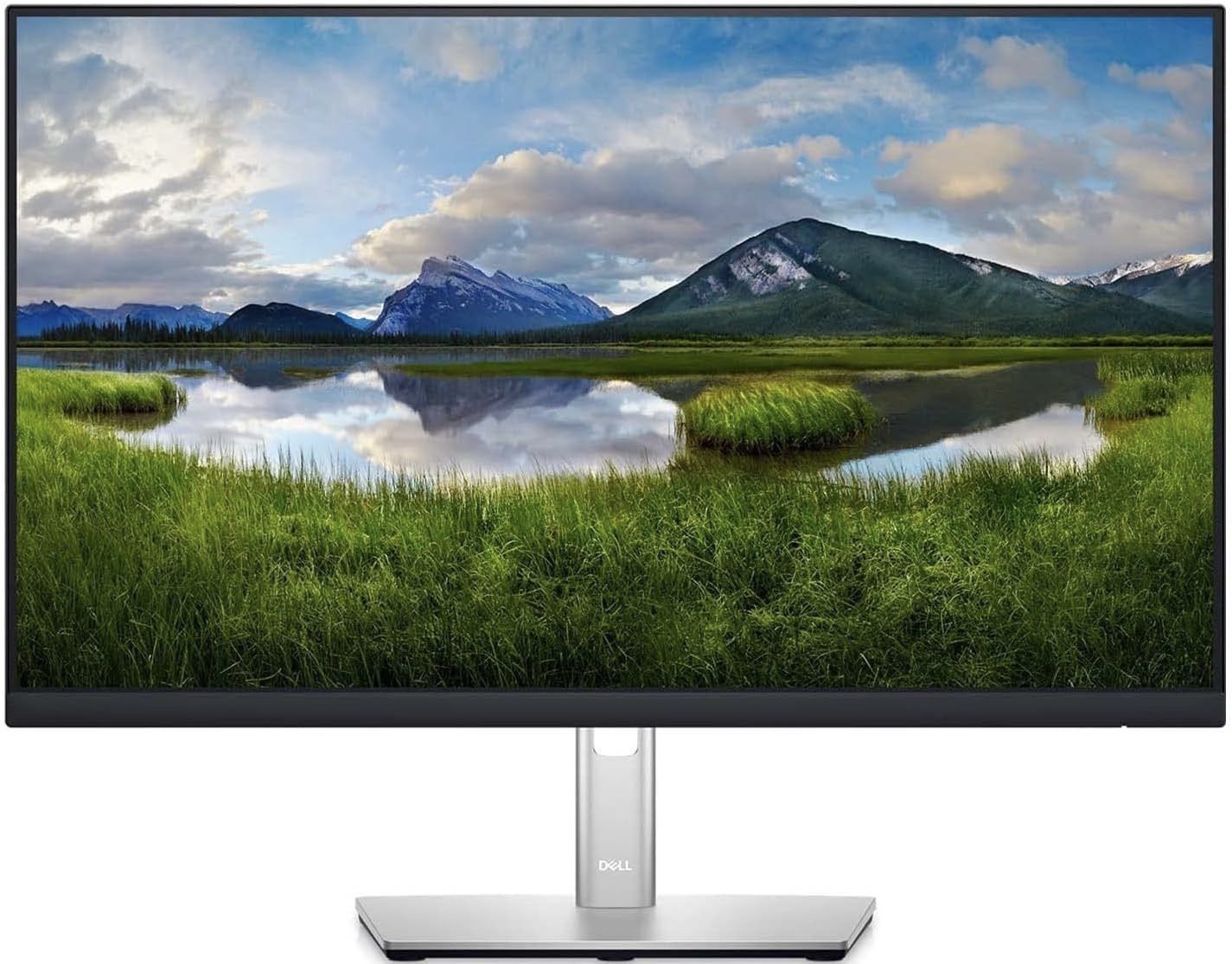 !!~*~BRAND NEW~*~!! DELL P2422H 24" Monitor; 16:9 IPS Monitor Screen-Full HD 1080p with HDMI