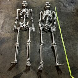 Halloween Decorations
