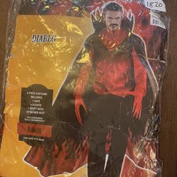 Halloween Costume