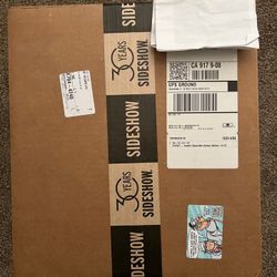 Hot Toys Anakin Skywalker Artisan Edition