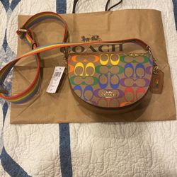 LGBTQ pride purse  New