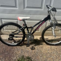 Girls Trek MT220 Mountain Bike-24”