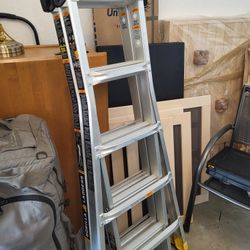 Ladder (Gorilla)