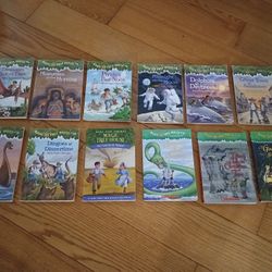 Magic Treehouse Book Lot