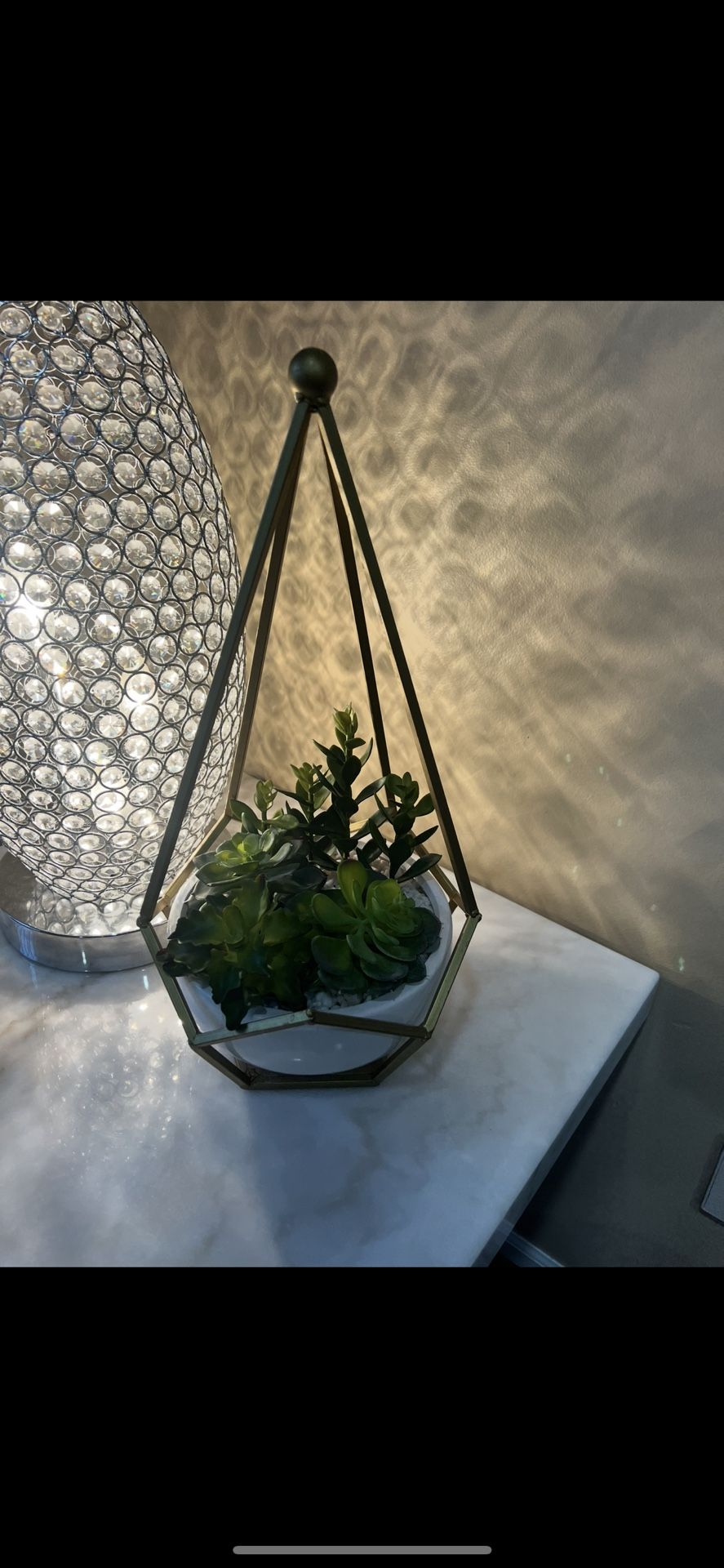 Decor Plant