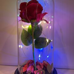 Valentines Day Gifts