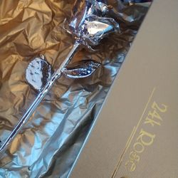 Platinum Rose