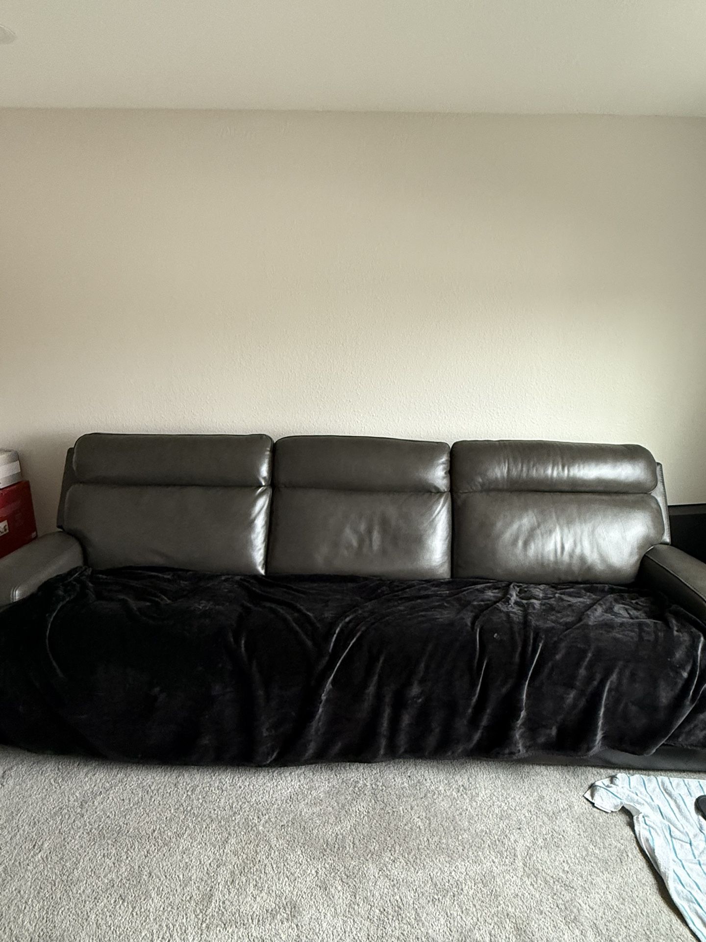 Living spaces Reclining Couch