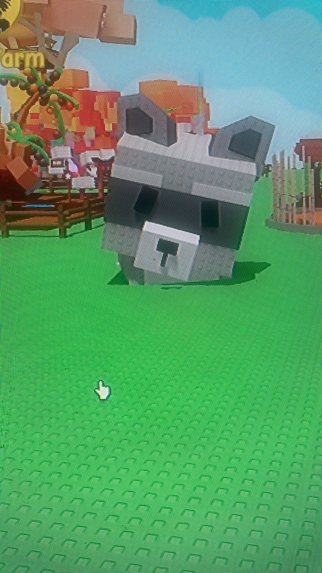 Age 82 Raccoon Big Pet Grow a Garden