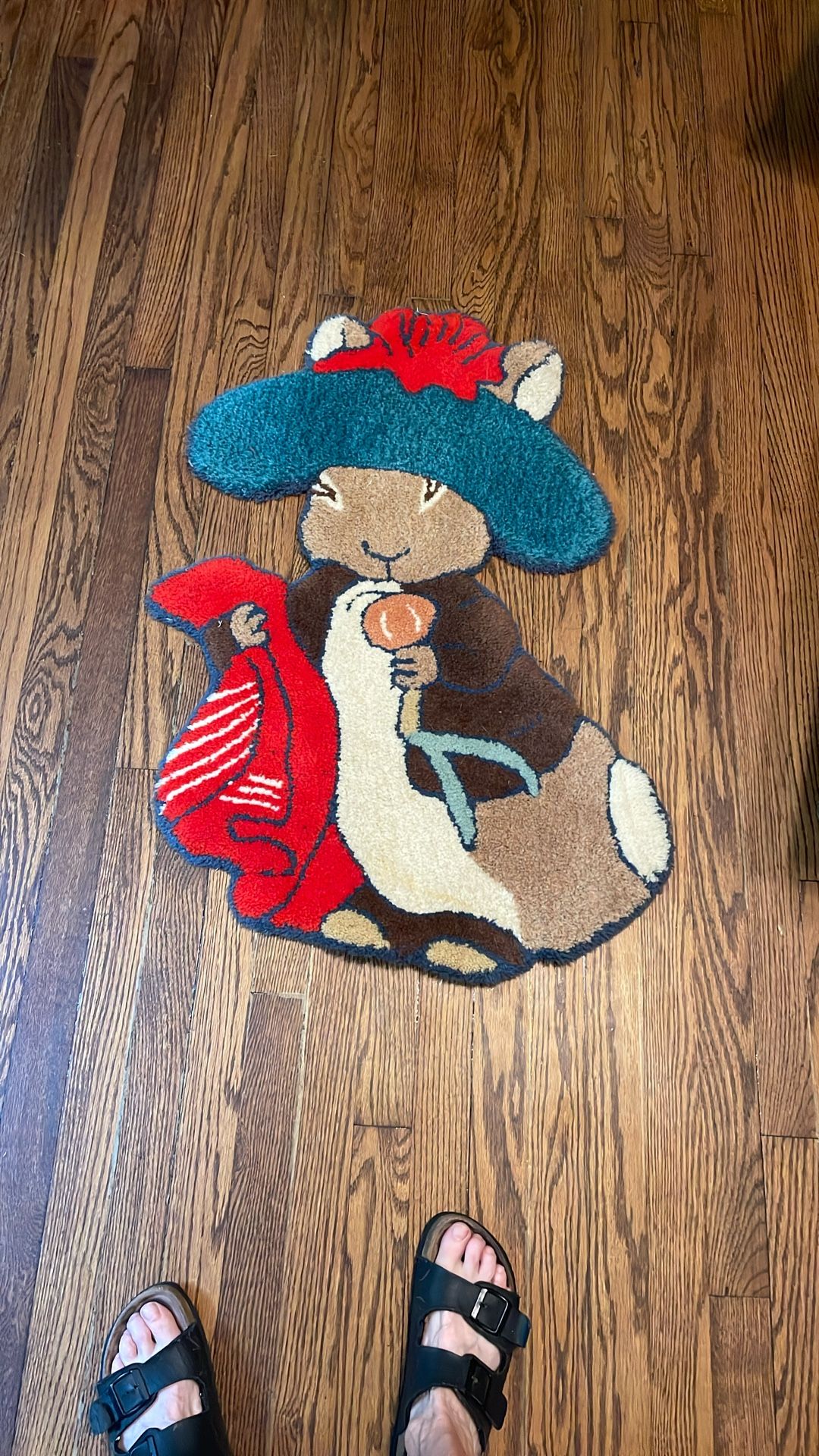 Kids Floor Rug, Peter Rabbit