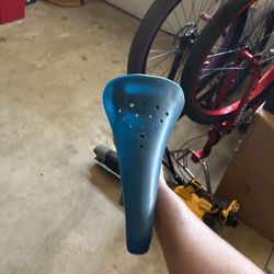 Bike Seat 