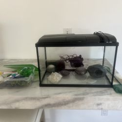Fish Tank 16X9 With Top Filter And Decorations 
