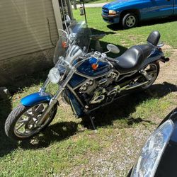 2005 Harley V-Rod