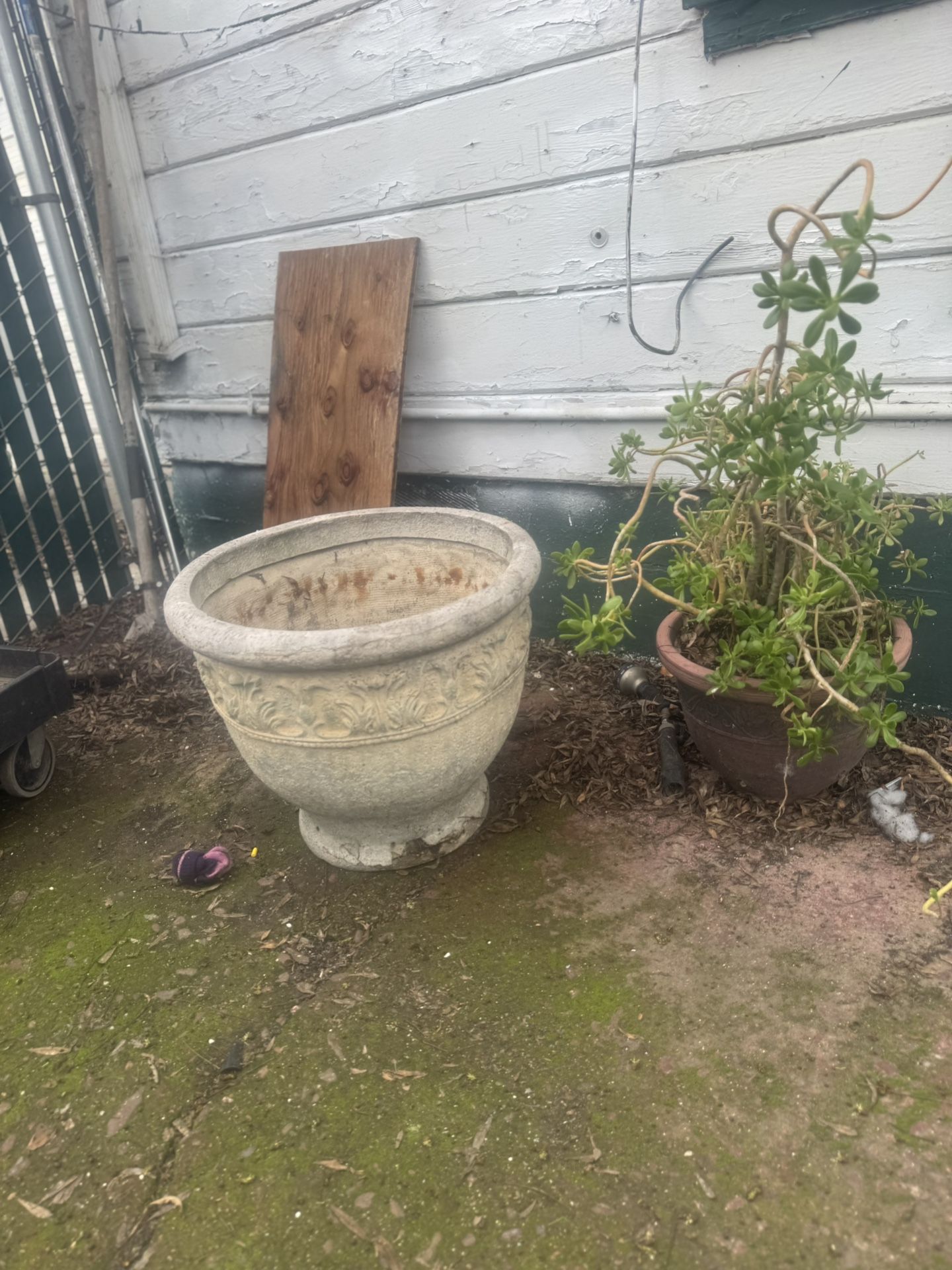 Large flower pot $10
