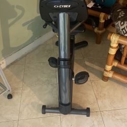 Cyber Work Out Bike