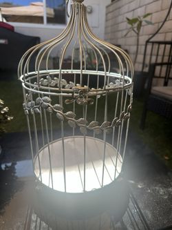Outdoor Decoration 