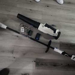 String Trimmer And Leaf Blower With Battery And Charger