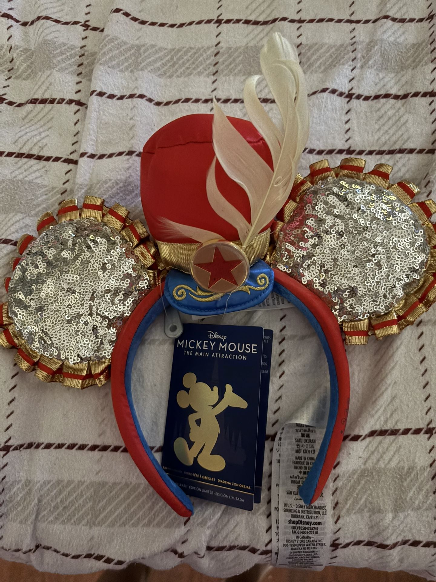 disney ears and backpack