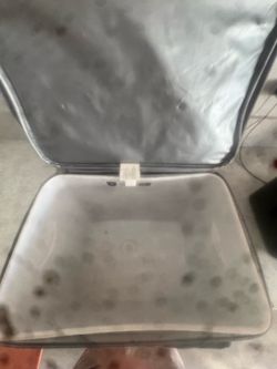 Coolers