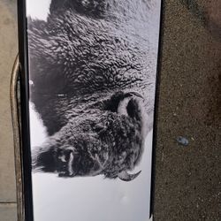 47"x24" Buffalo Wall Canvas
