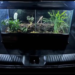 25 Gallon Tank
