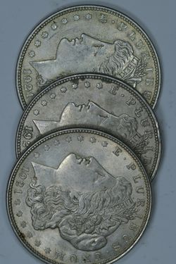 Silver Dollars!