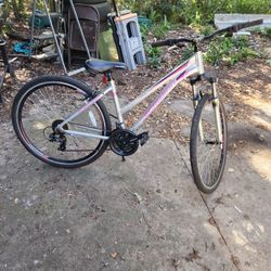 21 Speed Schwinn 26in