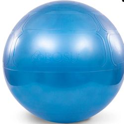 Life Root Balance Exercise Ball