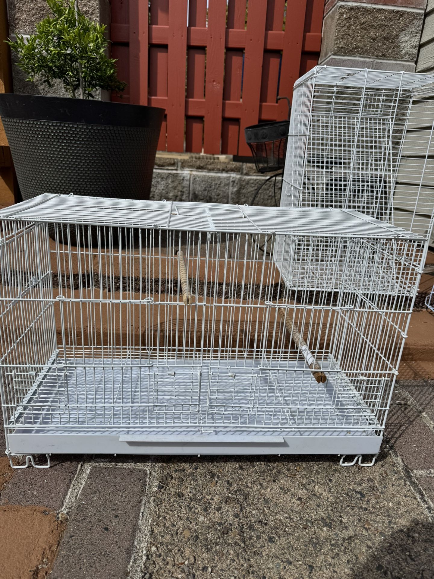 Bird Cage