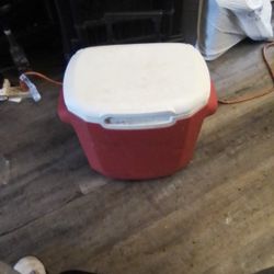 Coleman Ice Cooler