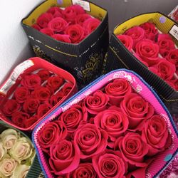 FRESH ROSES SALE