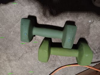 10 Pounds Dumbells 