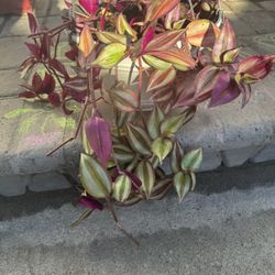 Patio Set Table 42 Inch Round 4 Chairs All Metal 