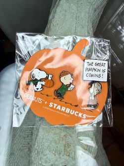 Starbucks X PEANUTS Pins